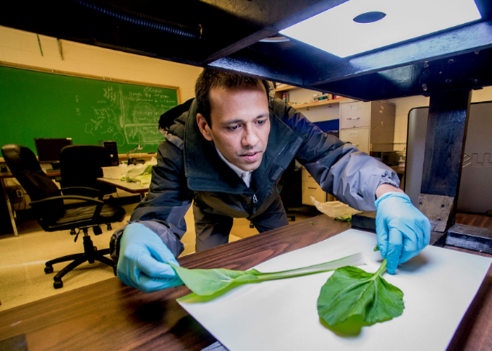 Food waste, freshness research
