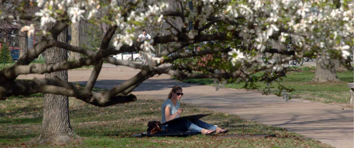 SIU Campus Spring Time