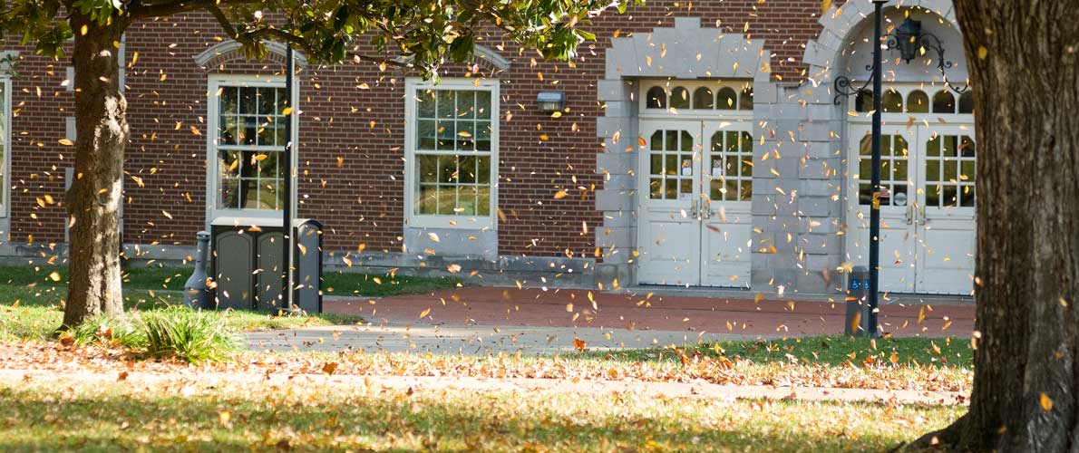 Leaves blowing in front of building