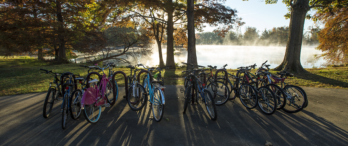 bike rack by lake