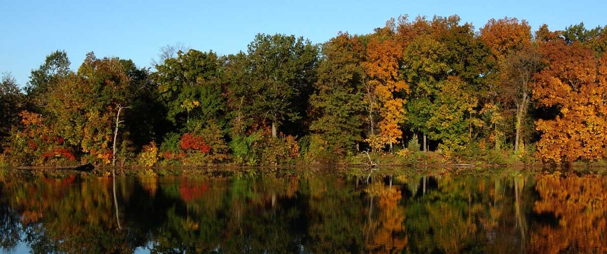 Autumn trees near campus lake SIU