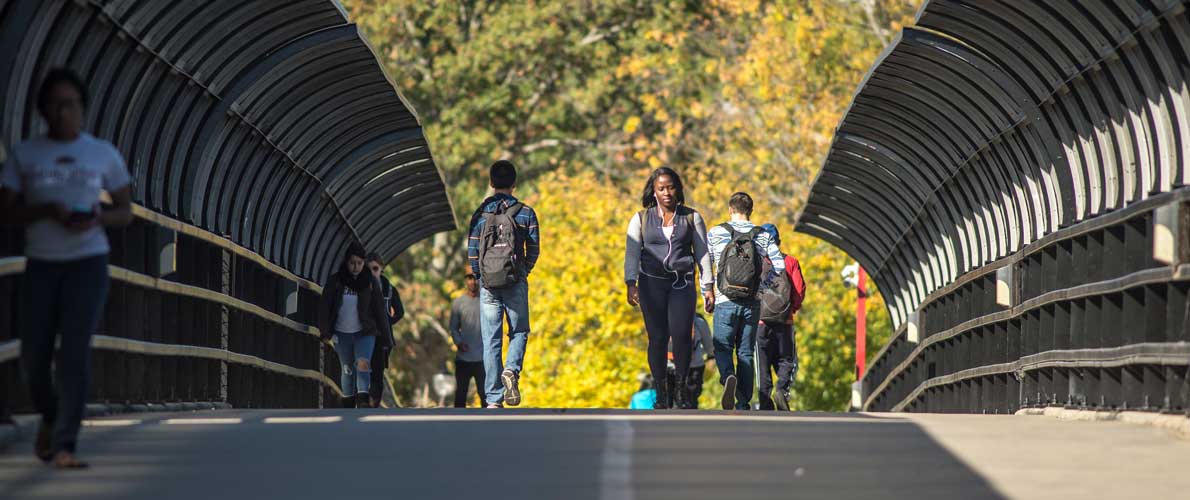 SIU Students walking on a bridge