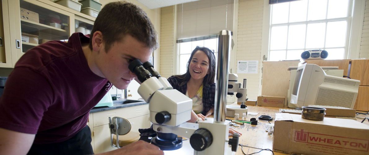 students working in a lab