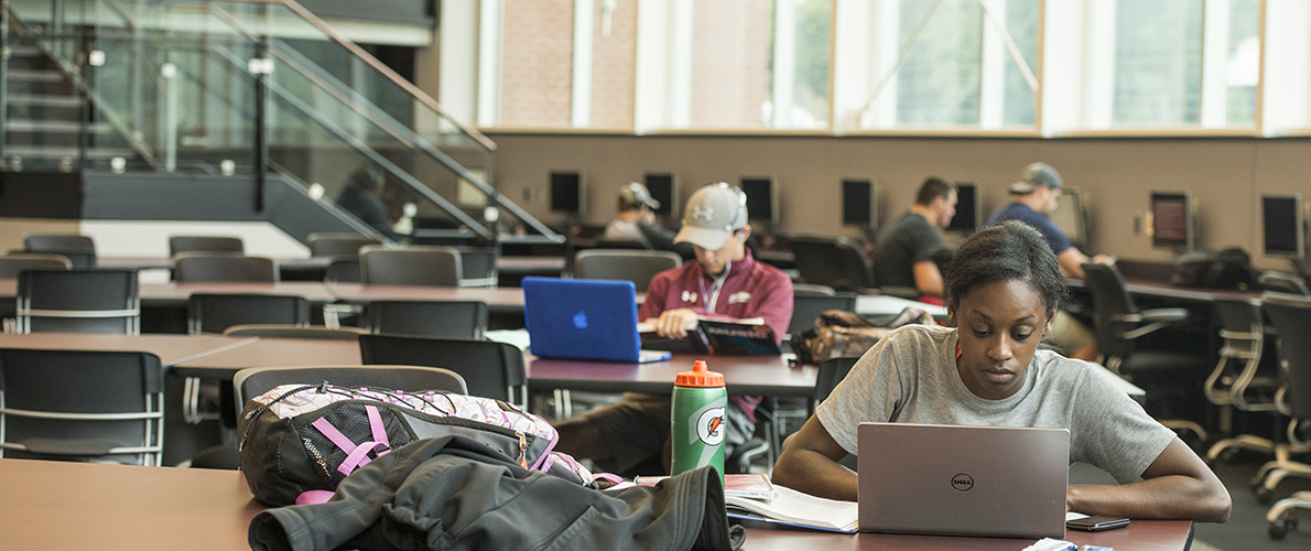 SIU students working on laptops