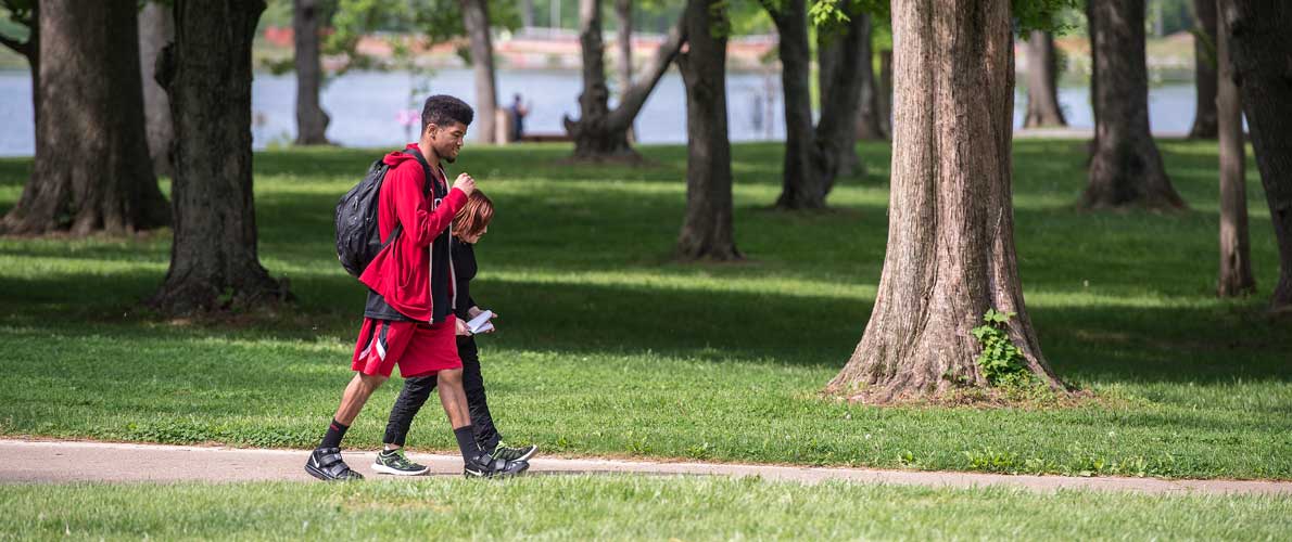 Students walking in the woods