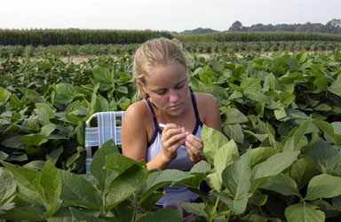girl checking crops